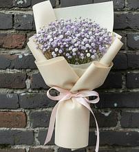Букет цветов из:  Гипсофила #REPLACE_PRED# Малое Карлино