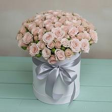 Цветочная композиция из Розы в шляпной коробке #REPLACE_PRED# Малое Карлино