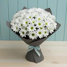Букет цветов из:  Хризантемы в Малое Карлино