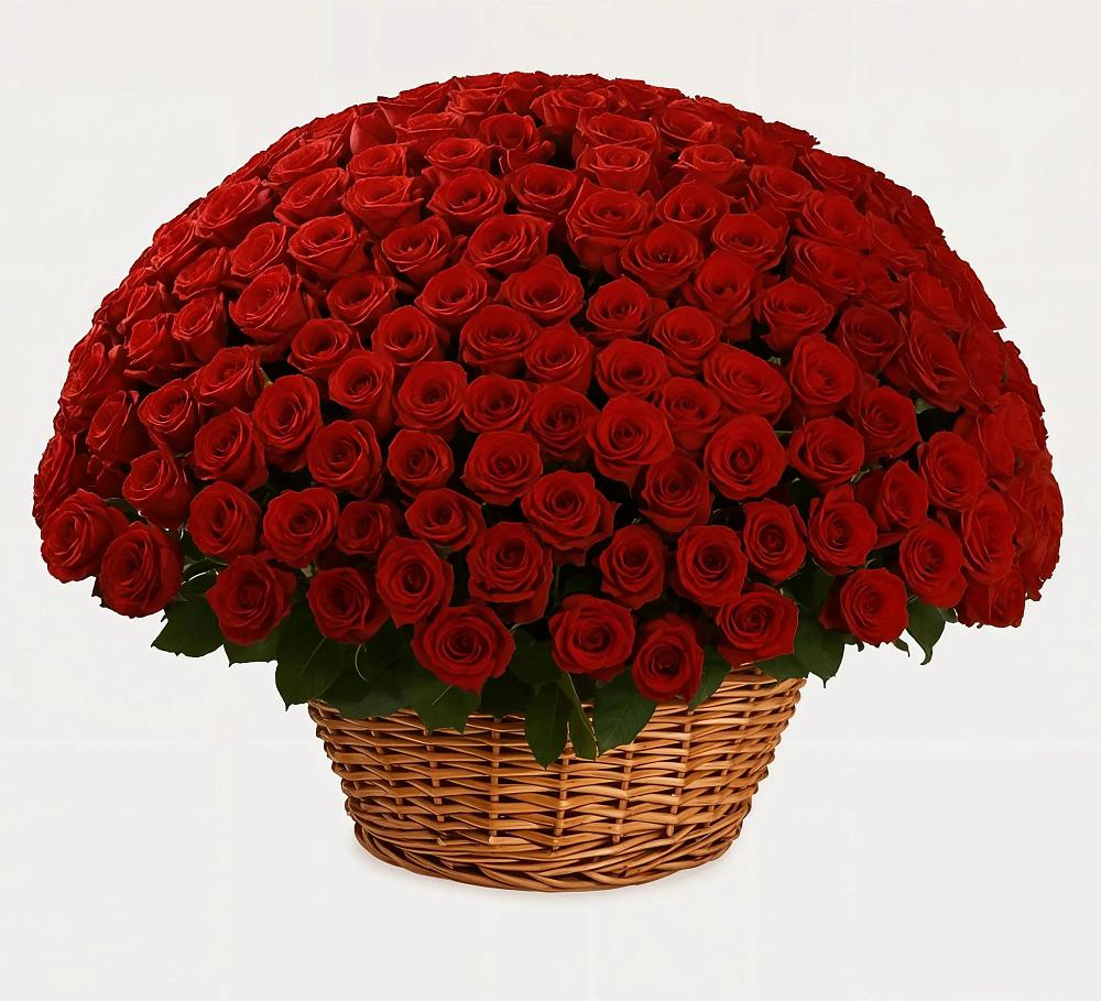 Премиум букет из: Розы в Малое Карлино