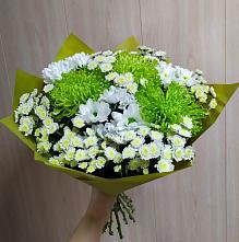 Букет цветов из:  Хризантемы #REPLACE_PRED# Малое Карлино