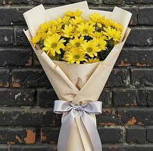 Букет цветов из:  Хризантемы в Малое Карлино