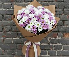 Букет цветов из:  Хризантемы #REPLACE_PRED# Малое Карлино