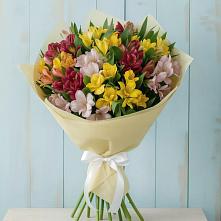 Букет цветов из:  Альстромерии в Малое Карлино