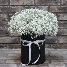 Цветочная композиция из Гипсофила в шляпной коробке в Малое Карлино