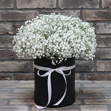 Цветочная композиция из Гипсофила в шляпной коробке в Малое Карлино