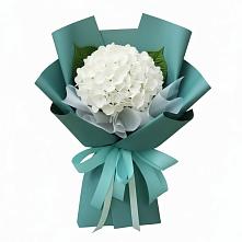 Букет цветов из:  Гортензия в Малое Карлино